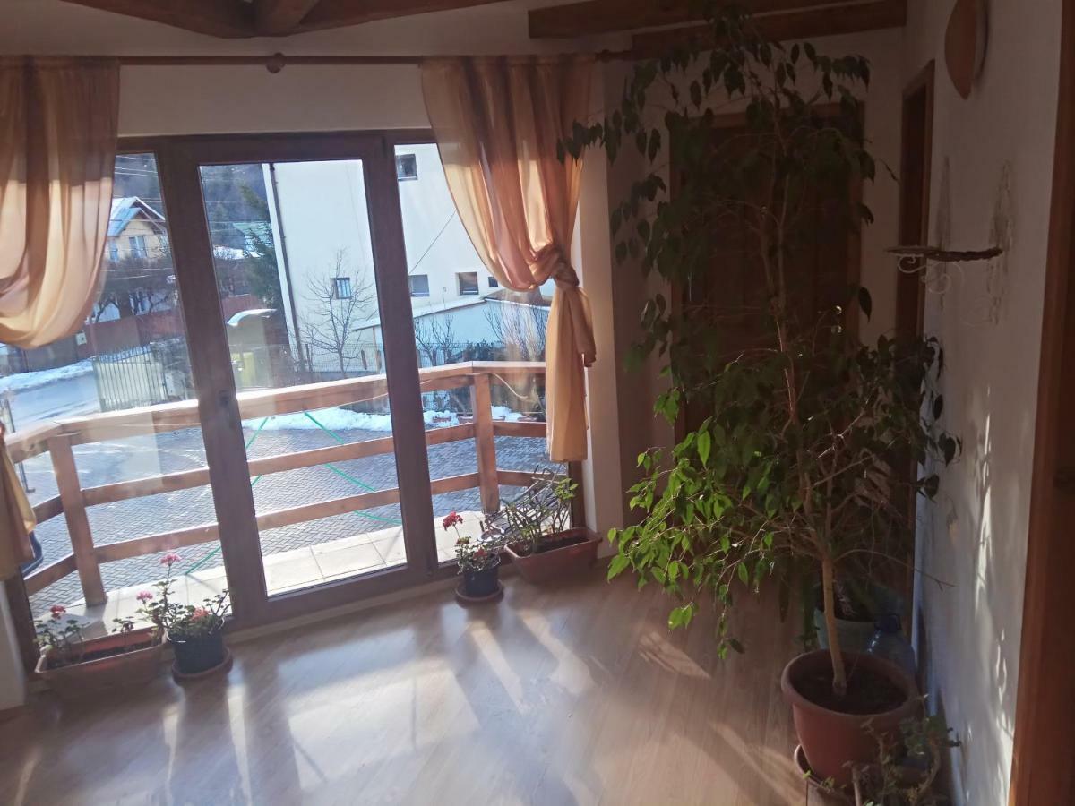 Hotel Casa Alexandru Azuga Exteriér fotografie