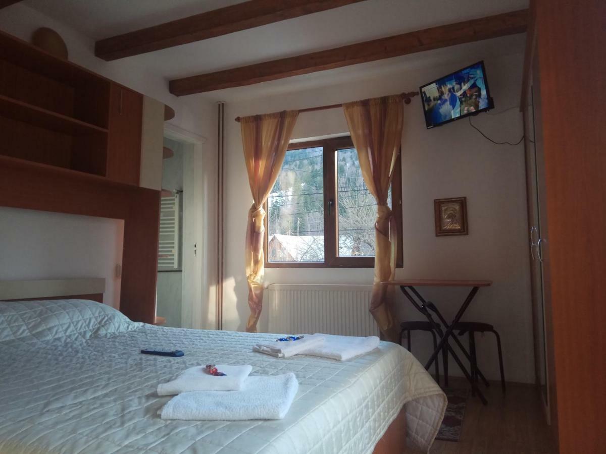 Hotel Casa Alexandru Azuga Exteriér fotografie
