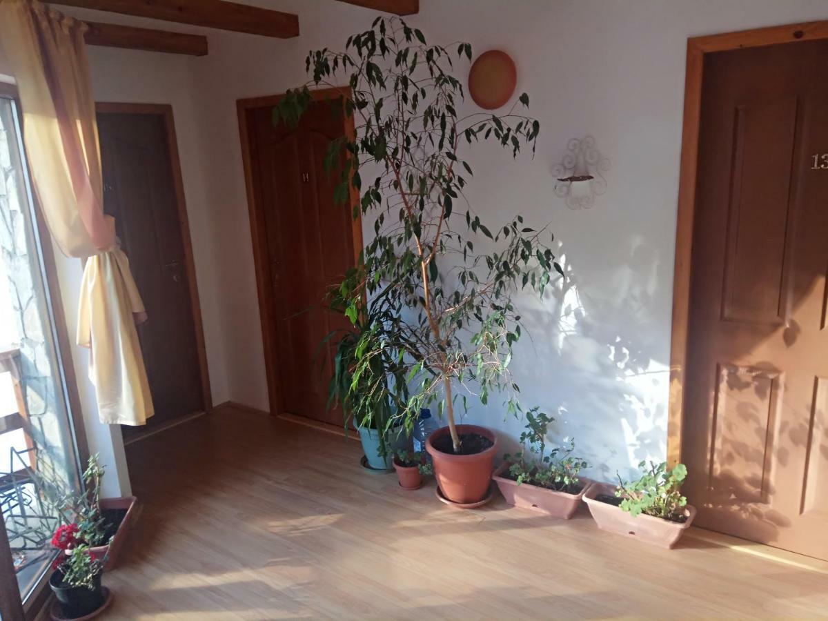 Hotel Casa Alexandru Azuga Exteriér fotografie